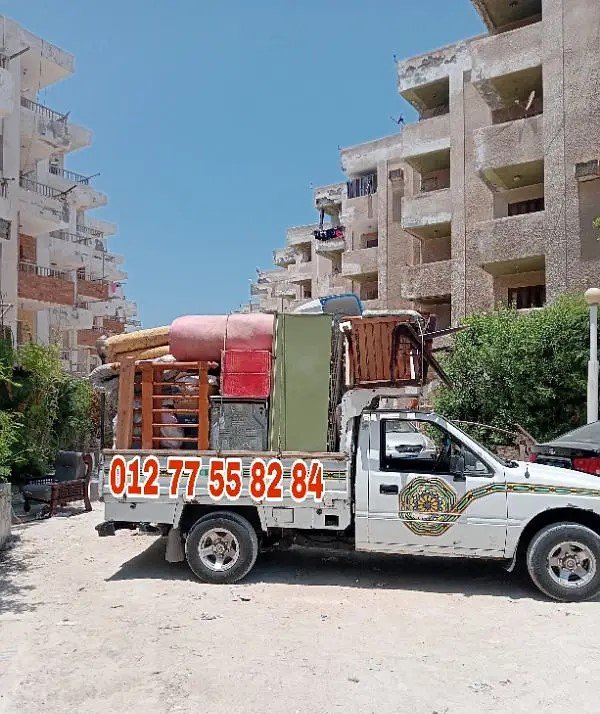 168251105-800x600 خدمات نقل خفيف الإسكندرية - الصورة 1