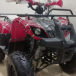Beach buggy2024
